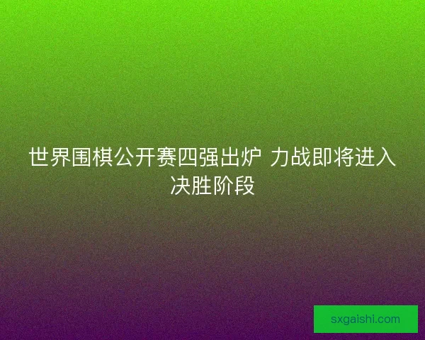 世界围棋公开赛四强出炉 力战即将进入决胜阶段 世界围棋公开赛四强出炉 力战即将进入决胜阶段